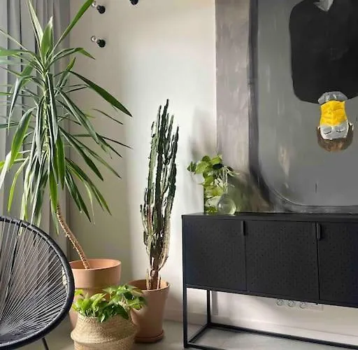 Apartamento Pilsudski